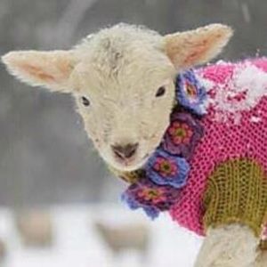 Meet your Posher, Trinity